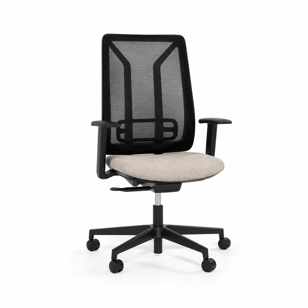 CADVER - Image 2
